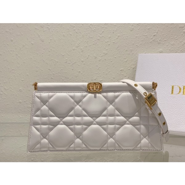 DlOR Caro Colle Noire Chain Carrying Bag