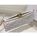 DlOR Caro Colle Noire Chain Carrying Bag