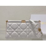 DlOR Caro Colle Noire Chain Carrying Bag