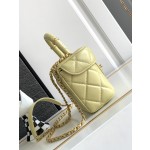 CHANEL 23Ss Spring/Summer Handle Cover Bag 3973