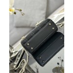 Dior Triple Embroidery Bead Tube Black