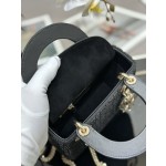 Dior Triple Embroidery Bead Tube Black