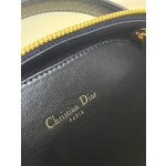 DIOR Signature series oval camera bag
