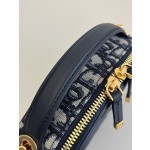 DIOR Signature series oval camera bag