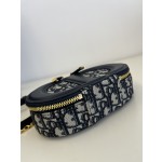 DIOR Signature series oval camera bag