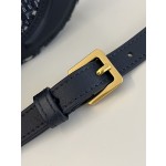 DIOR Signature series oval camera bag