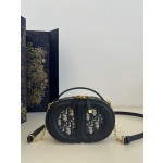 DIOR Signature series oval camera bag