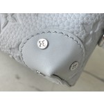 𝐋𝐎𝐔𝐈𝐒𝐕𝐔𝐈𝐓𝐓𝐎𝐍 M82579 Gray Full Skin Embossed Men's Bag and Postman Bag Series