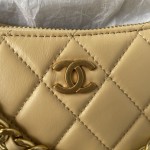 CHANEL 23C Moon Bag model number AS4067