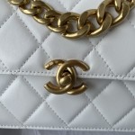CHANEL 23C New Early Spring Vintage Bag Model Number: AS4069