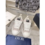 Dior B23 series bread shoes skateboard shoes