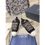 Dior B23 series bread shoes skateboard shoes