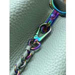 𝐋𝐎𝐔𝐈𝐒𝐕𝐔𝐈𝐓𝐓𝐎𝐍 M22055 Light green colorful gold buckle This Capuchines handbag