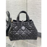 DIOR  Toujours 旅行袋9231