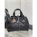 DIOR  Toujours 旅行袋9231