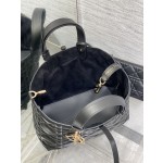 DIOR  Toujours 旅行袋9231
