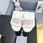 Dior Autumn/Winter New Wool Slippers