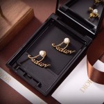 Dior earrings