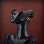 Dior earrings