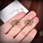 Dior earrings