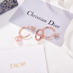Dior CD Earrings