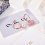 Dior CD Earrings
