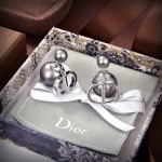 Dior CD Earrings