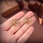 Dior letter earrings