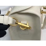 DIOR pillow bag handbag