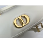 DIOR pillow bag handbag