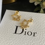 Dior earrings