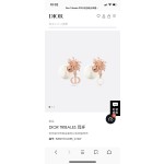 Dior earrings