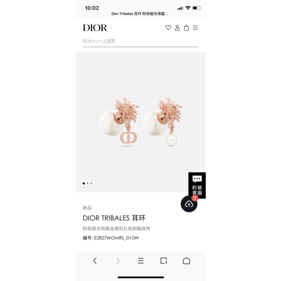 Dior earrings