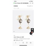 Dior earrings