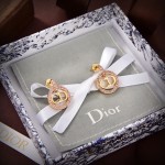 Dior earrings
