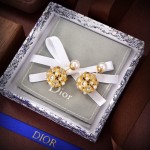 Dior earrings
