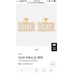 Dior earrings