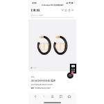 Dior earrings