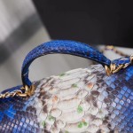 CHANEL model 24313mini cover bag