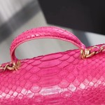 CHANEL model 24313mini cover bag