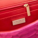 CHANEL model 24313mini cover bag