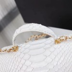 CHANEL model 24313mini cover bag