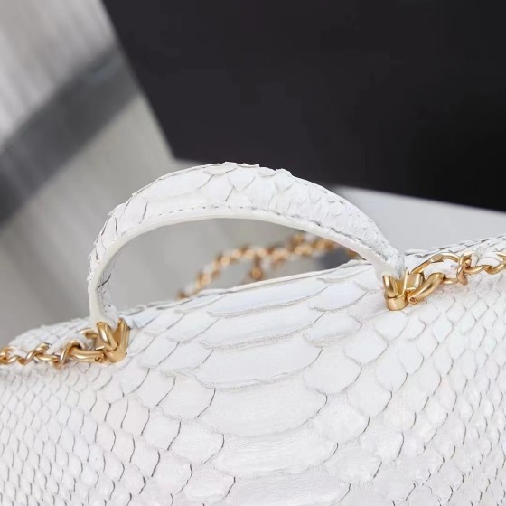 CHANEL model 24313mini cover bag