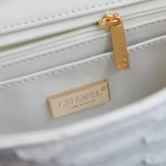 CHANEL model 24313mini cover bag