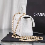 CHANEL model 24313mini cover bag