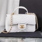 CHANEL model 24313mini cover bag