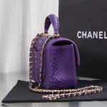 CHANEL model 24313mini cover bag