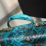 CHANEL model 24313mini cover bag