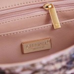 CHANEL model 24313mini cover bag