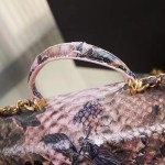 CHANEL model 24313mini cover bag